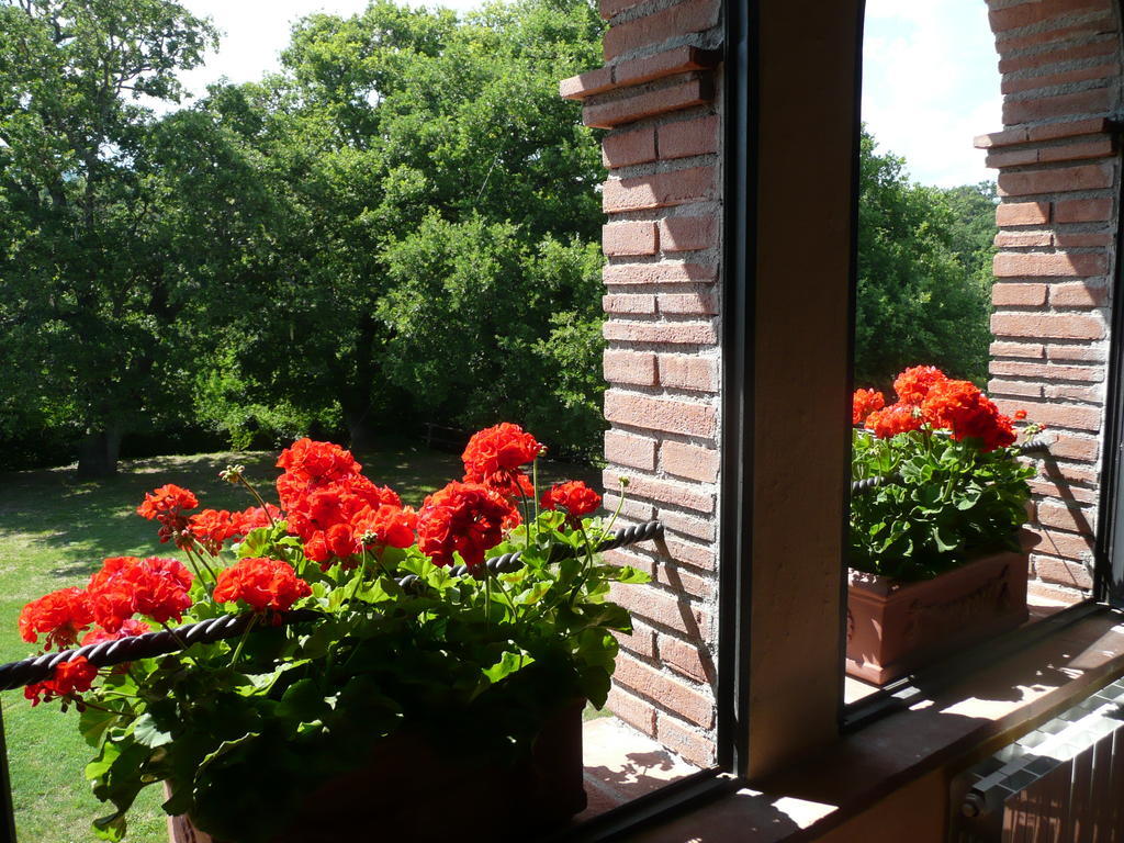 Agriturismo Colli Di Travale Montieri ห้อง รูปภาพ